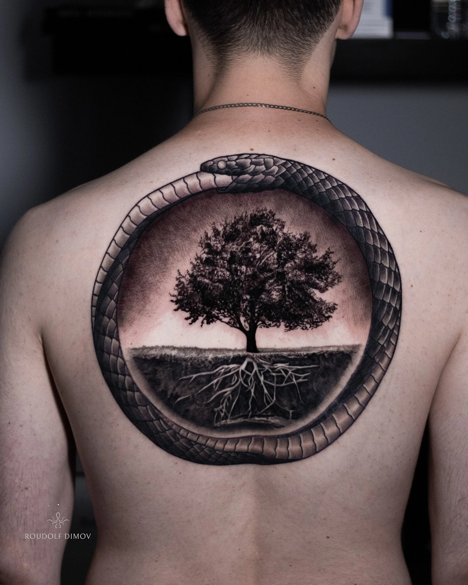 Black and grey realism back tattoo of an ouroboros encircling the Tree of Life, featuring detailed roots and subtle shading to create depth and symbolism.
