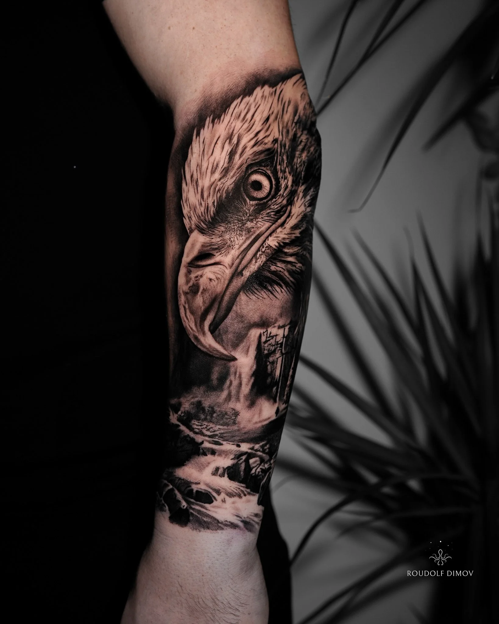 Hawk portrait tattoo on the forearm in black and grey realism, featuring detailed feathers, sharp textures, and a dynamic waterfall scene. Tattoo artist Roudolf Dimov, London.