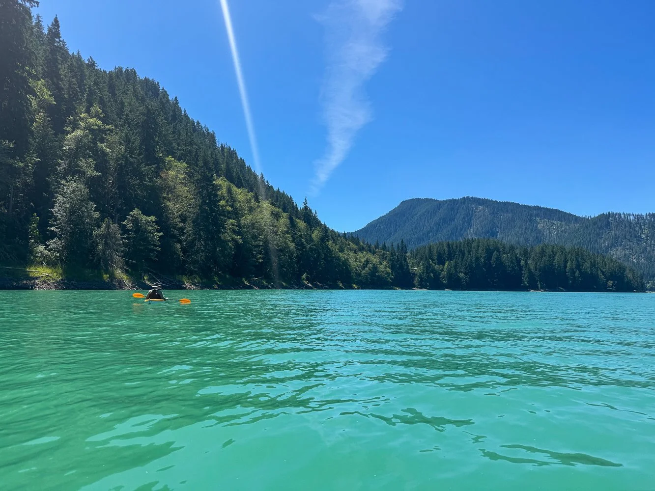 Best Activities Near Mount Rainier National Park