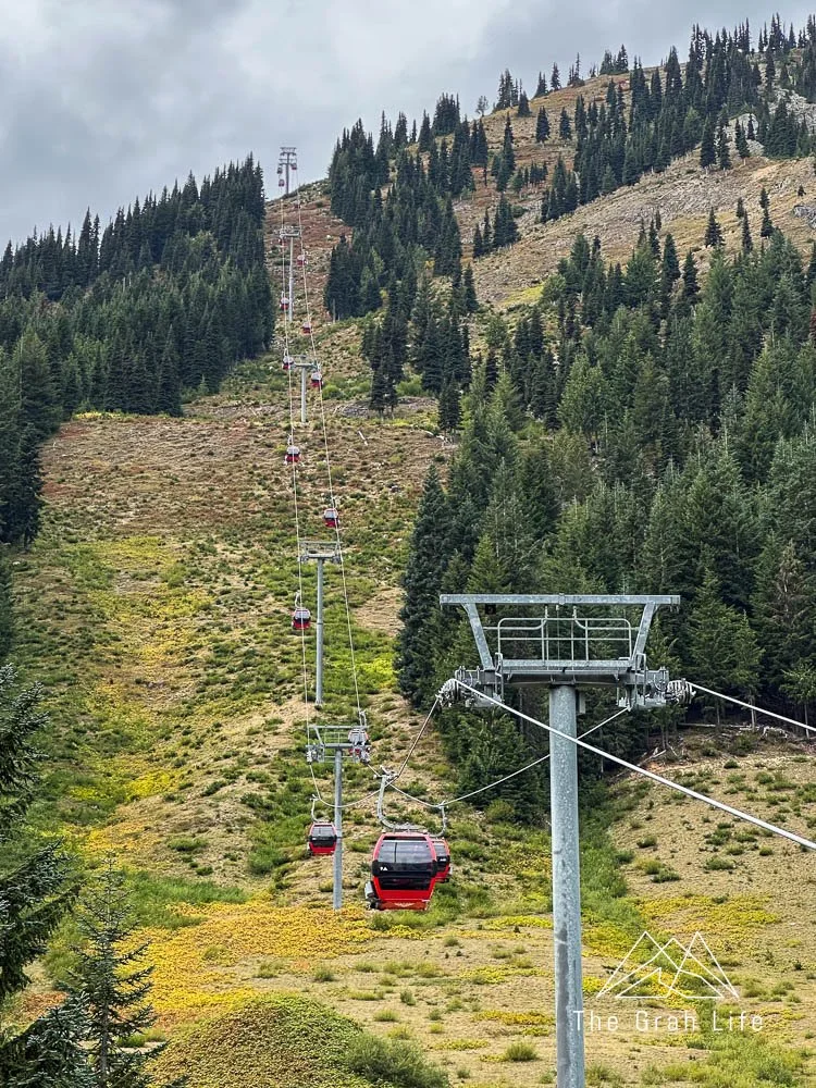 Crystal Mountain s Flying Raven Adventure Course The Grah Life