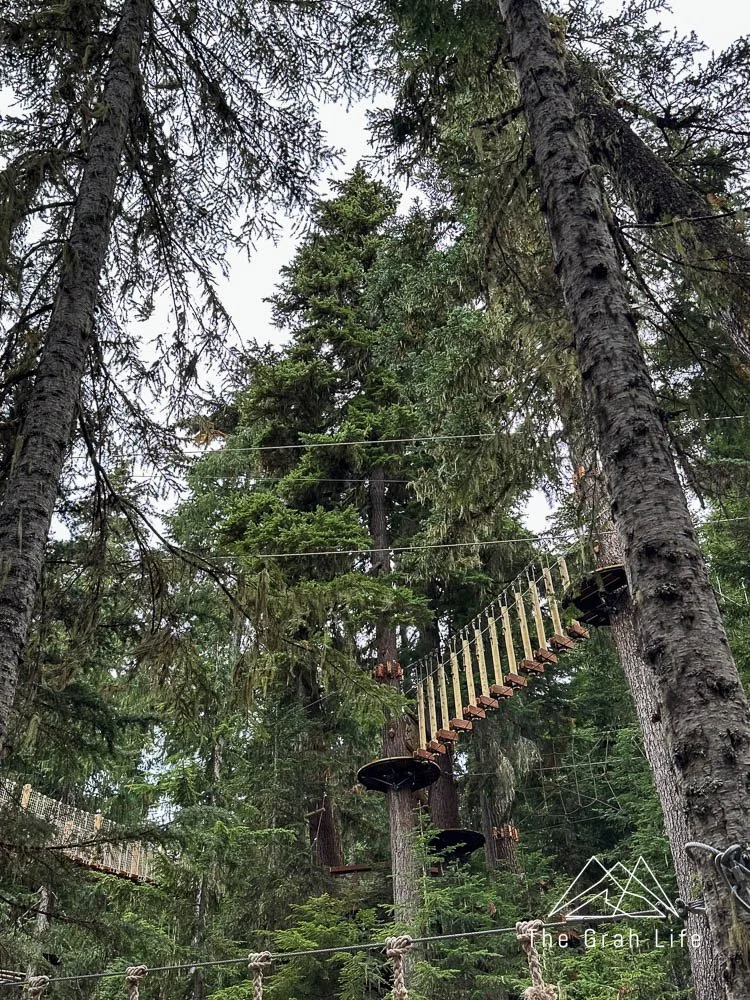 Crystal Mountain s Flying Raven Adventure Course The Grah Life