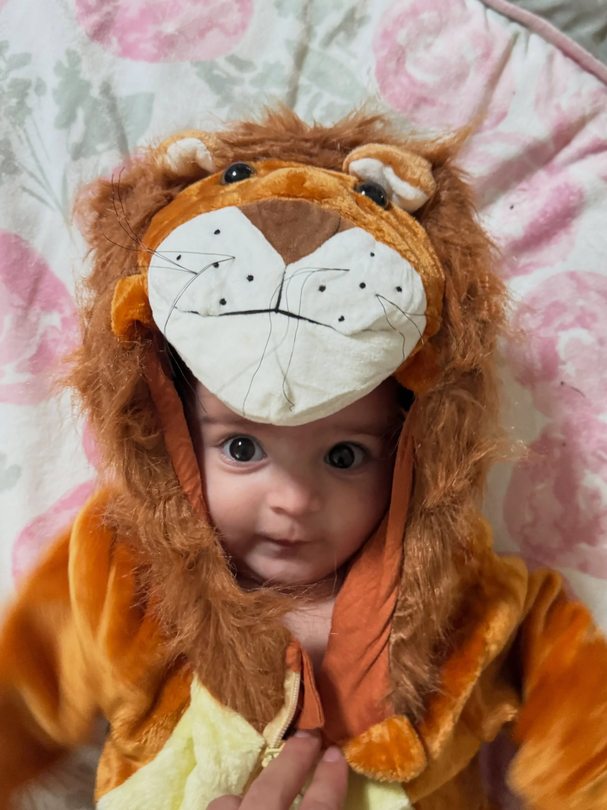 New series : Ellaween costumes