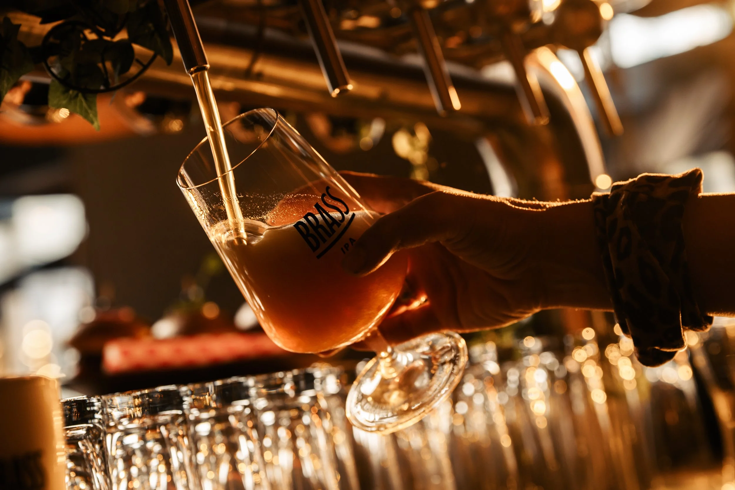 Foto's Dunnik-039.jpg