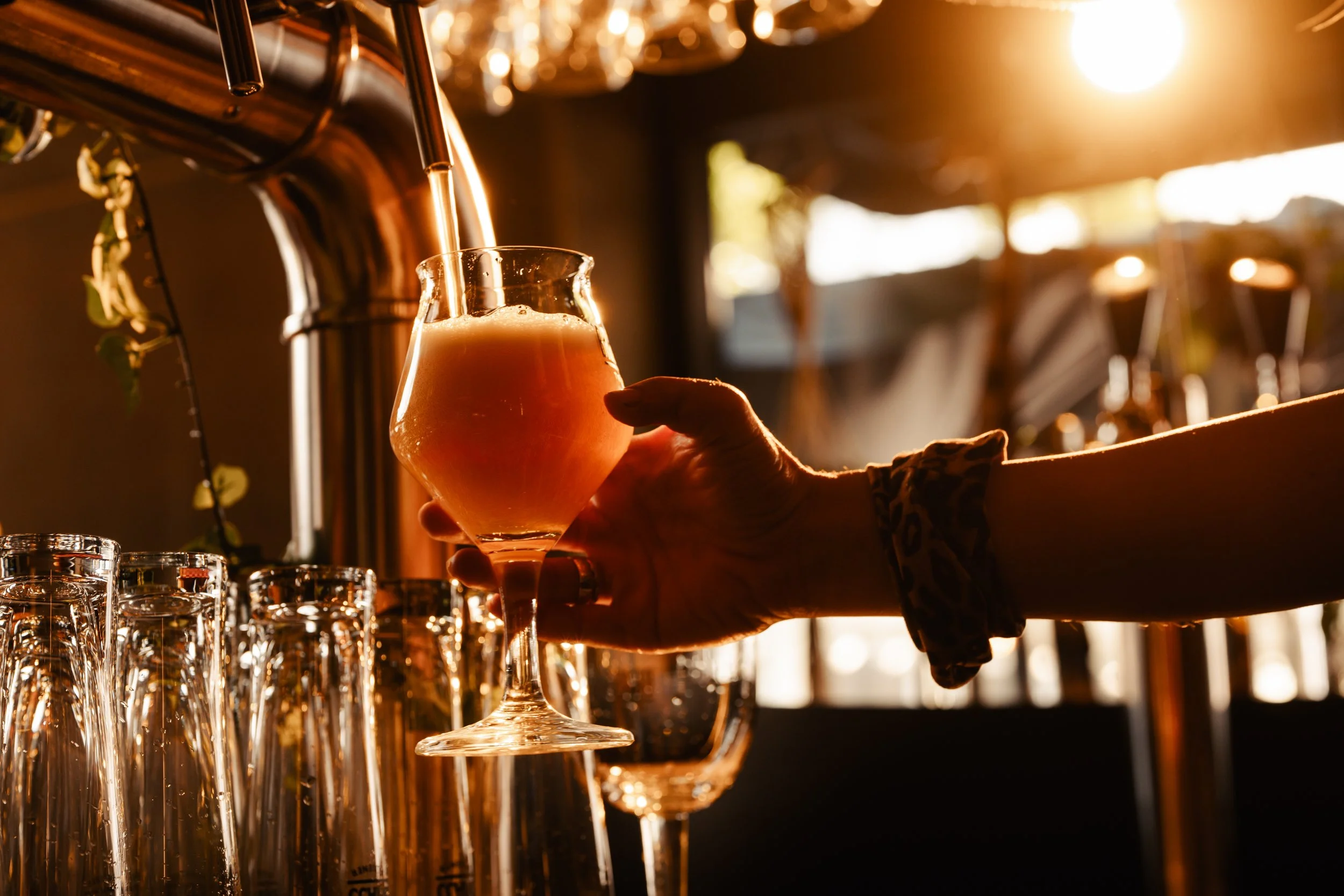 Foto's Dunnik-043.jpg