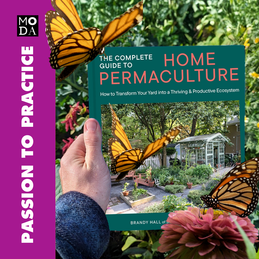 Design that Gives You Butterflies:  Permaculture for the Home Landscape