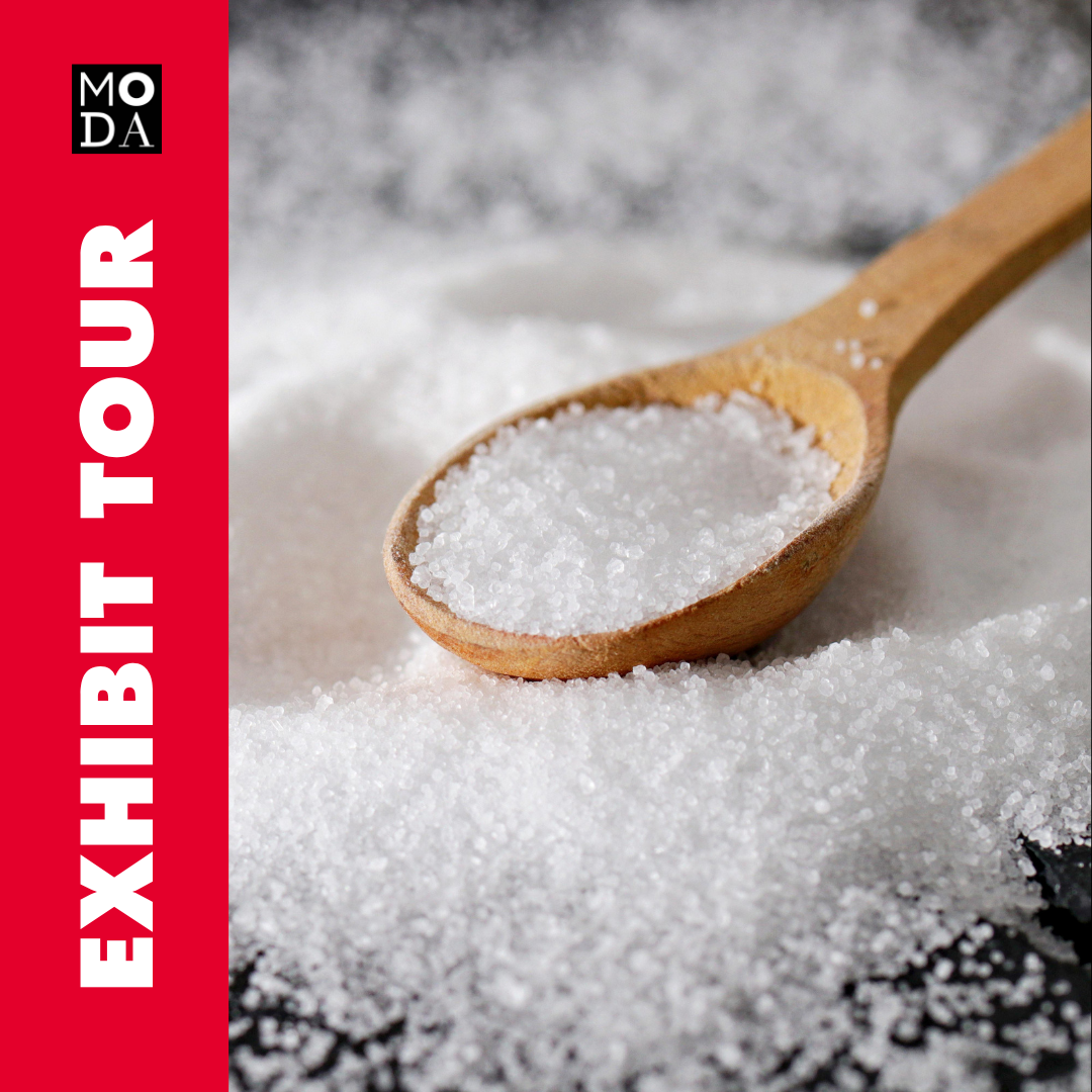 Exhibit Tour of SALT: A Design Story