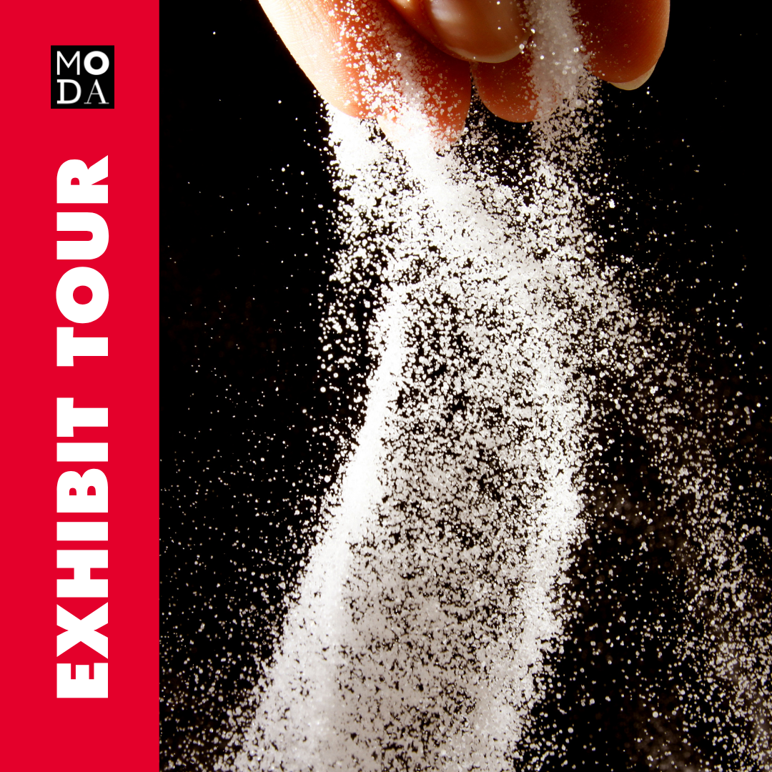 Exhibit Tour of SALT: A Design Story