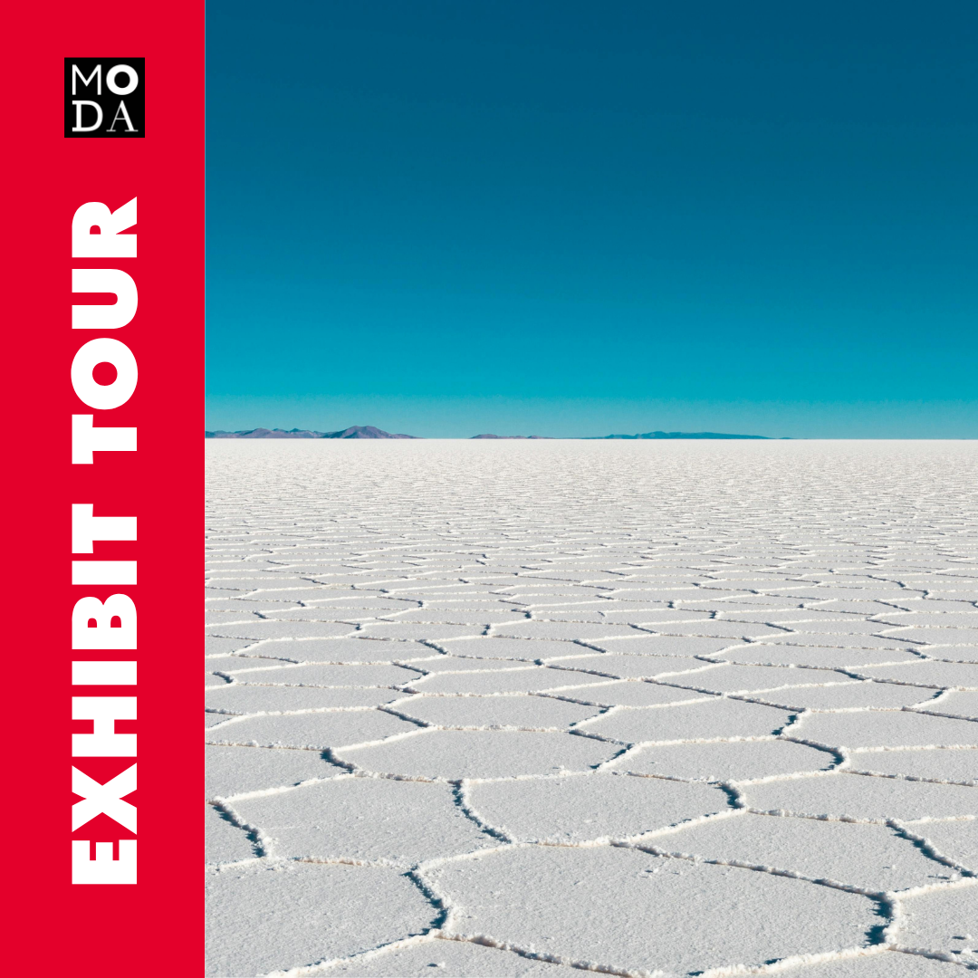 Exhibit Tour of SALT: A Design Story
