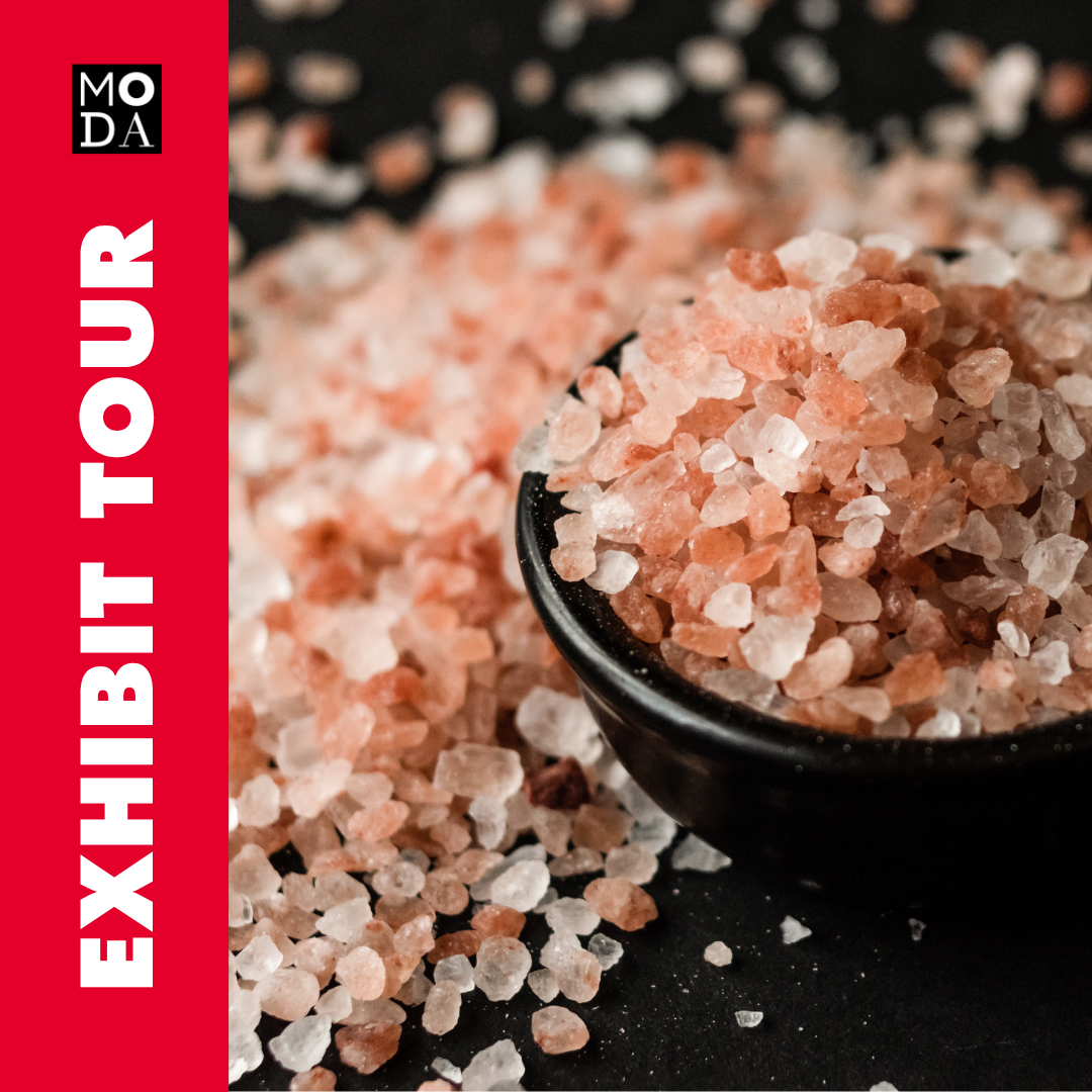 Exhibit Tour of SALT: A Design Story