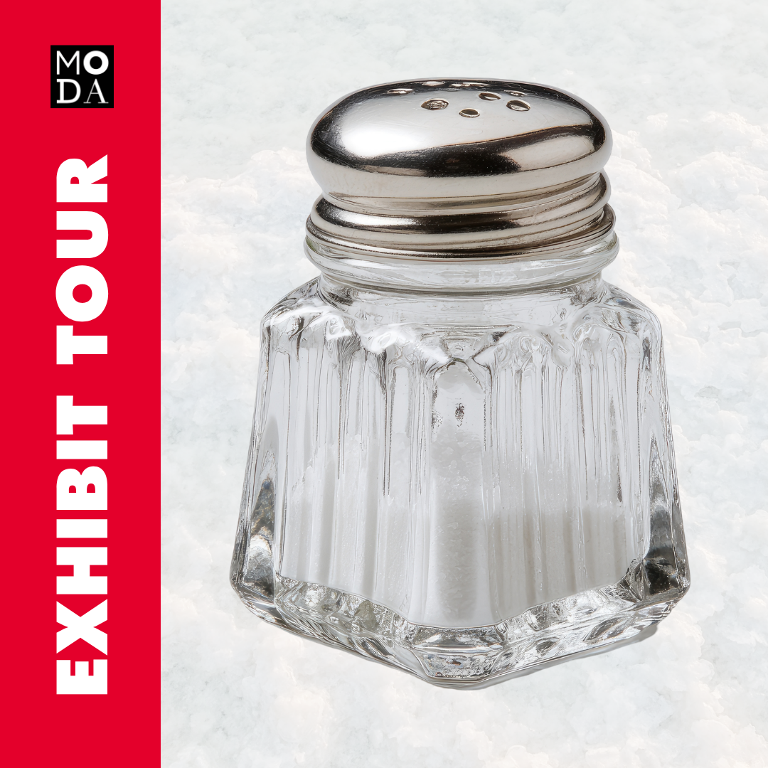 Exhibit Tour of SALT: A Design Story
