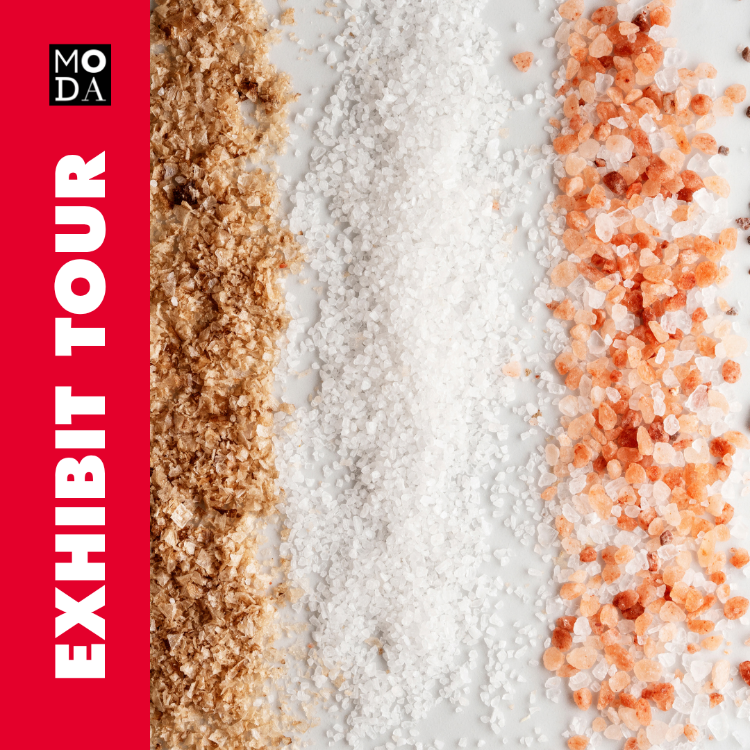 Exhibit Tour of SALT: A Design Story