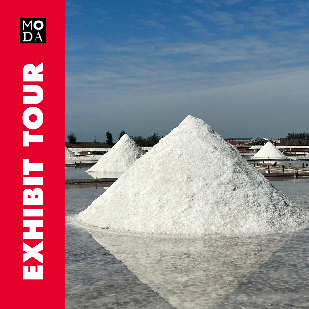 Exhibit Tour of SALT: A Design Story