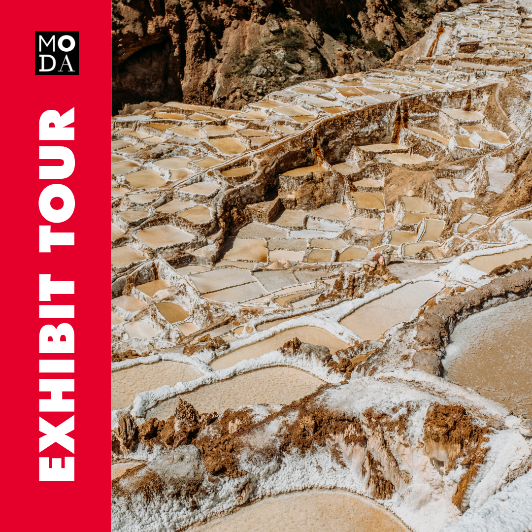 Exhibit Tour of SALT: A Design Story