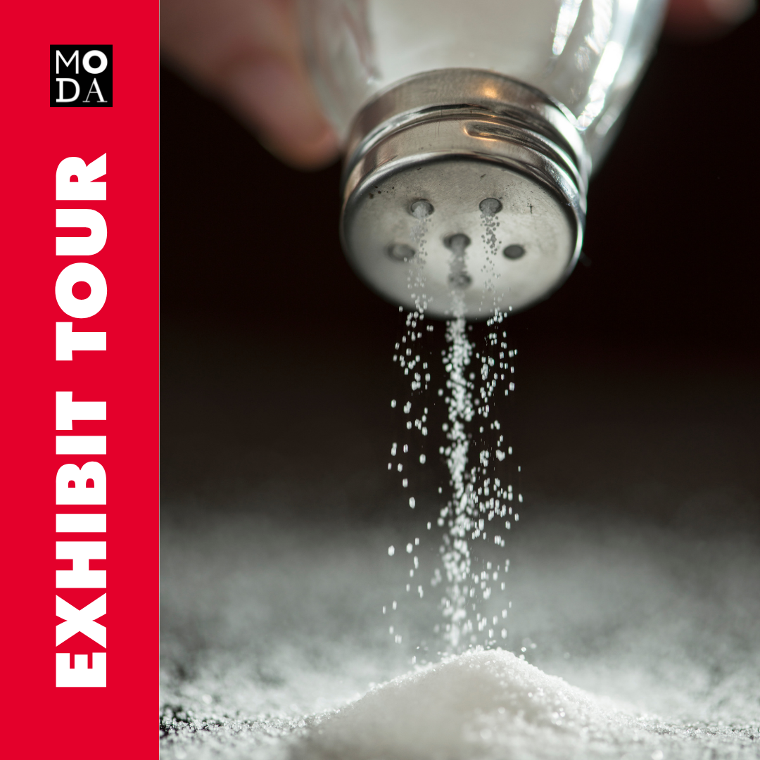 Exhibit Tour of SALT: A Design Story