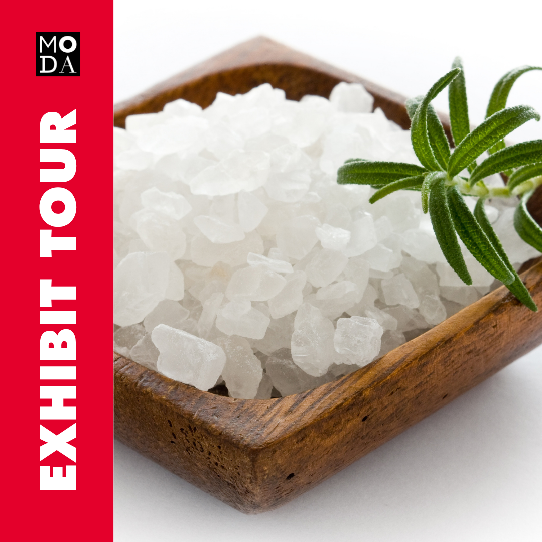 Exhibit Tour of SALT: A Design Story