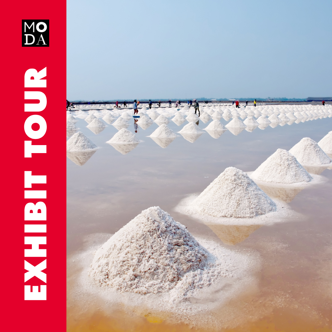 Exhibit Tour of SALT: A Design Story
