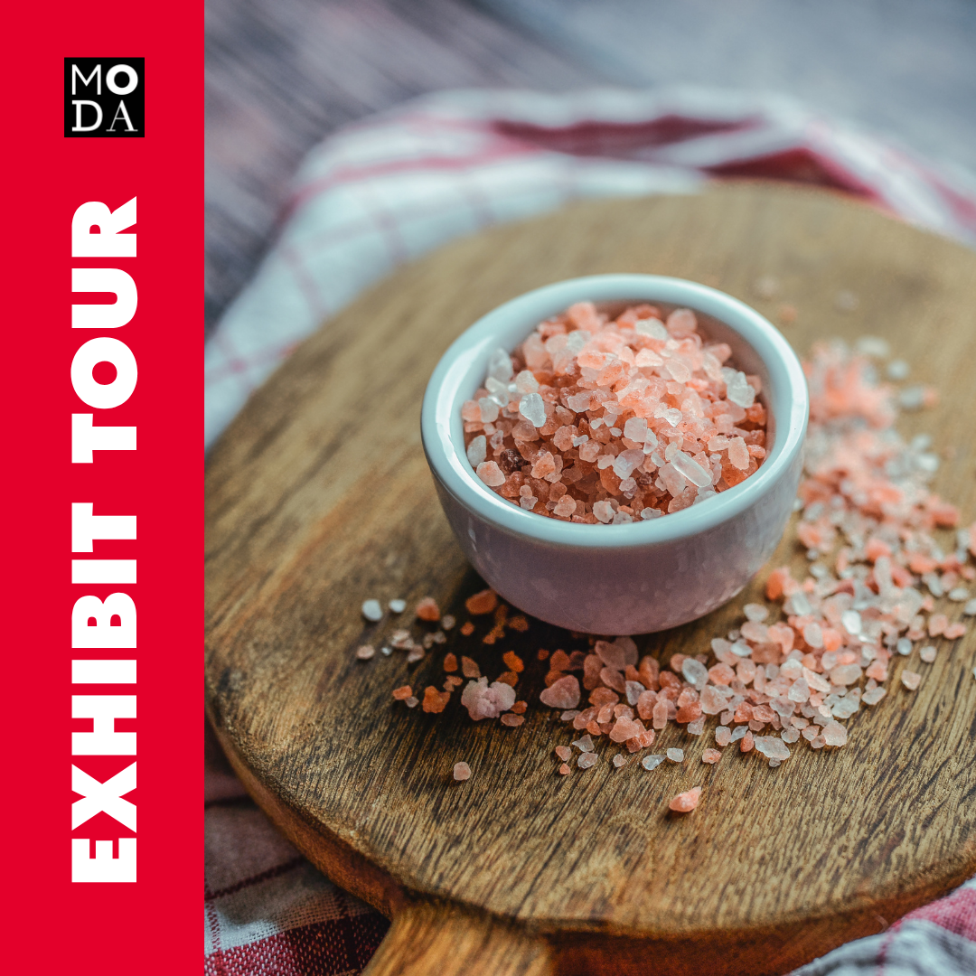 Exhibit Tour of SALT: A Design Story
