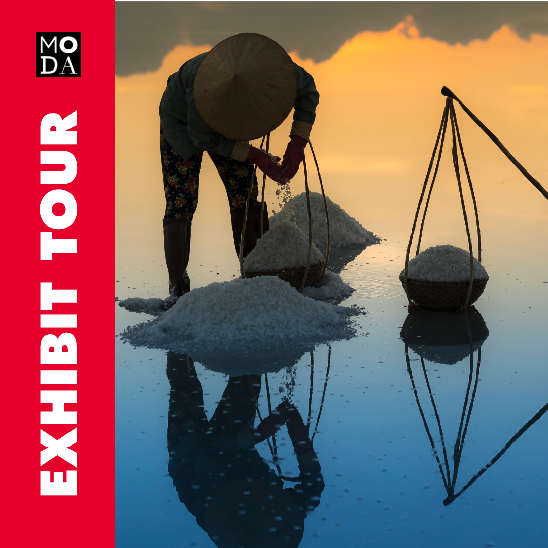 Exhibit Tour of SALT: A Design Story