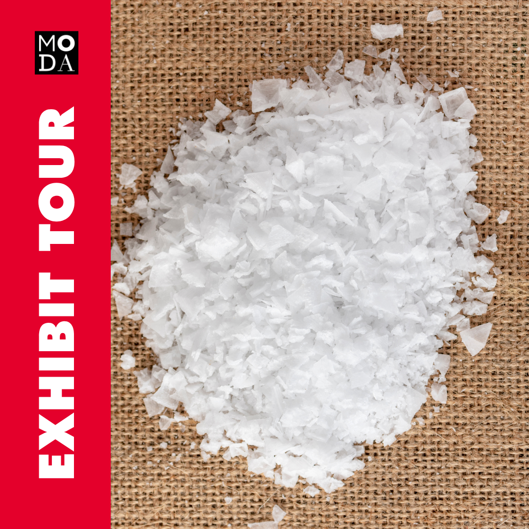Exhibit Tour of SALT: A Design Story