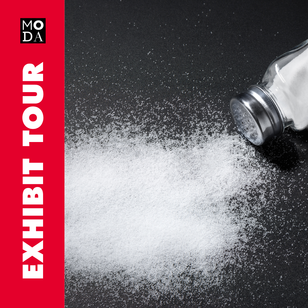 Exhibit Tour of SALT: A Design Story
