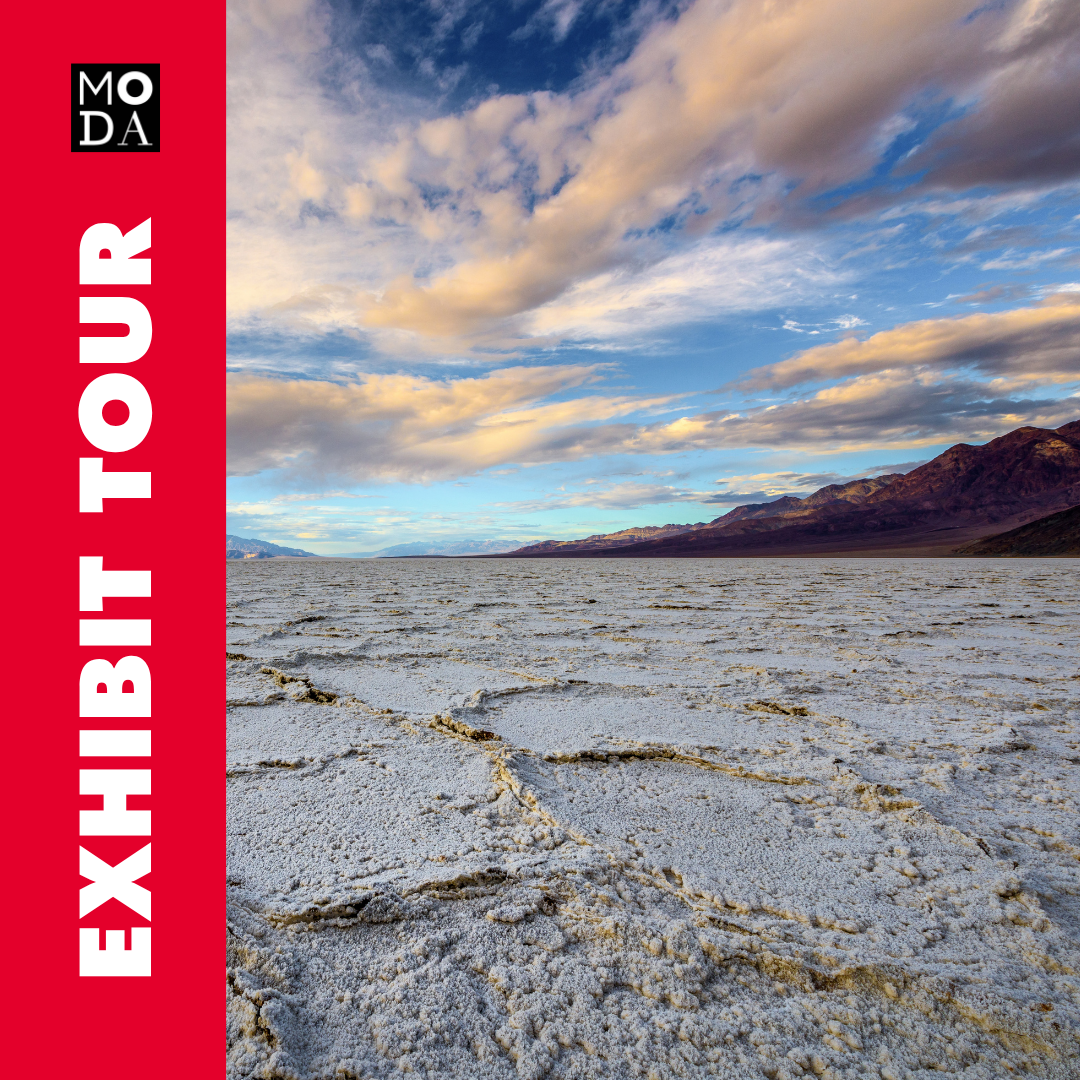 Exhibit Tour of SALT: A Design Story