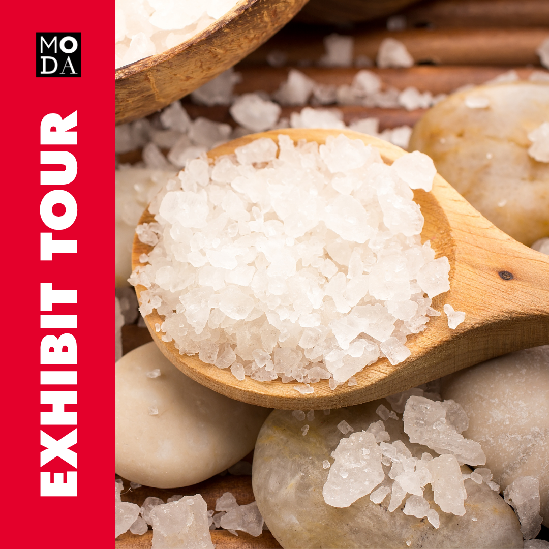 Exhibit Tour of SALT: A Design Story