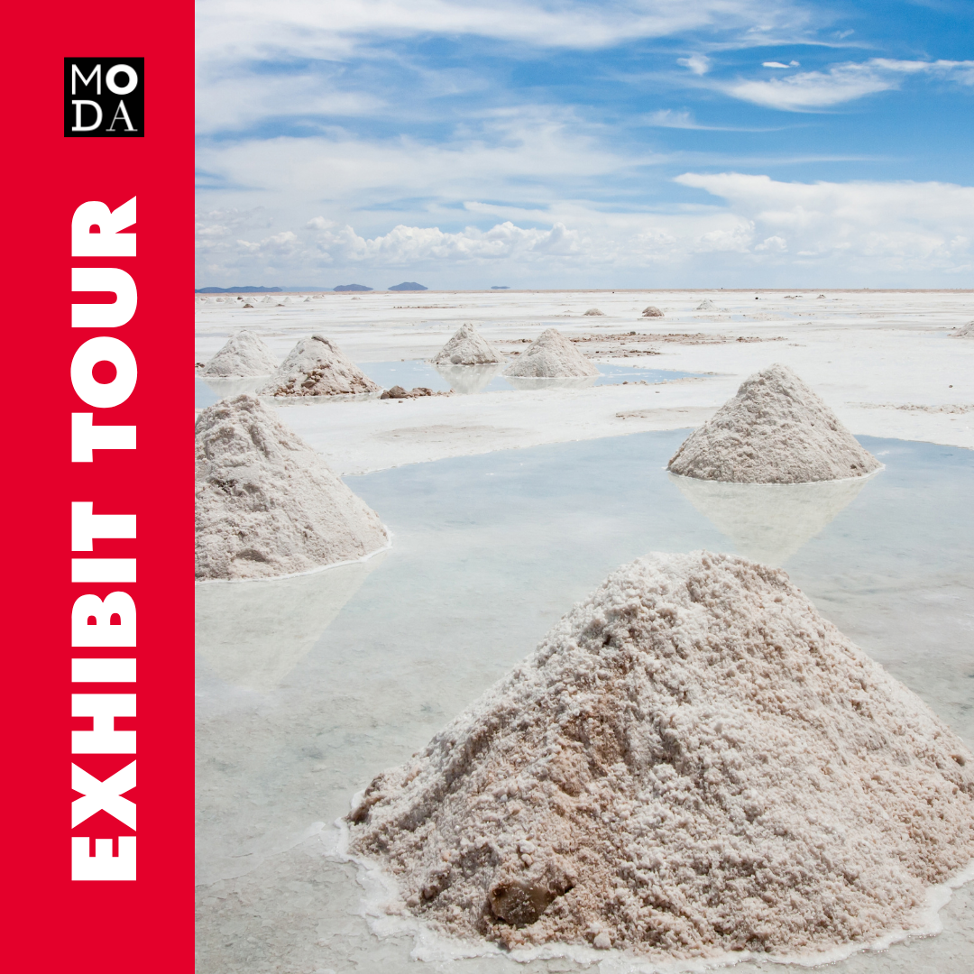 Exhibit Tour of SALT: A Design Story