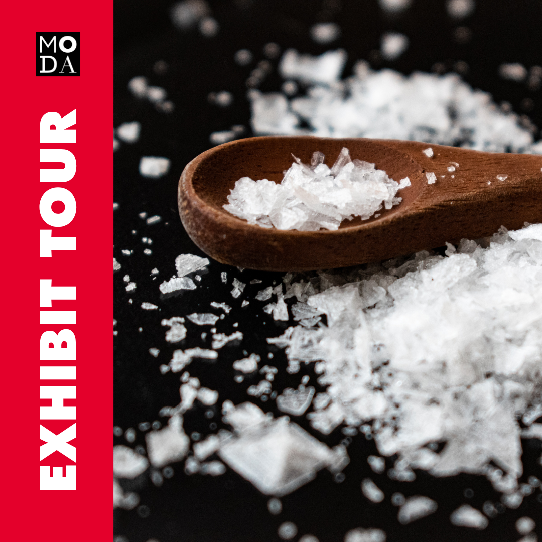 Exhibit Tour of SALT: A Design Story