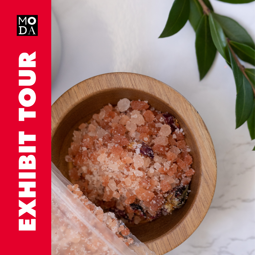 Exhibit Tour of SALT: A Design Story