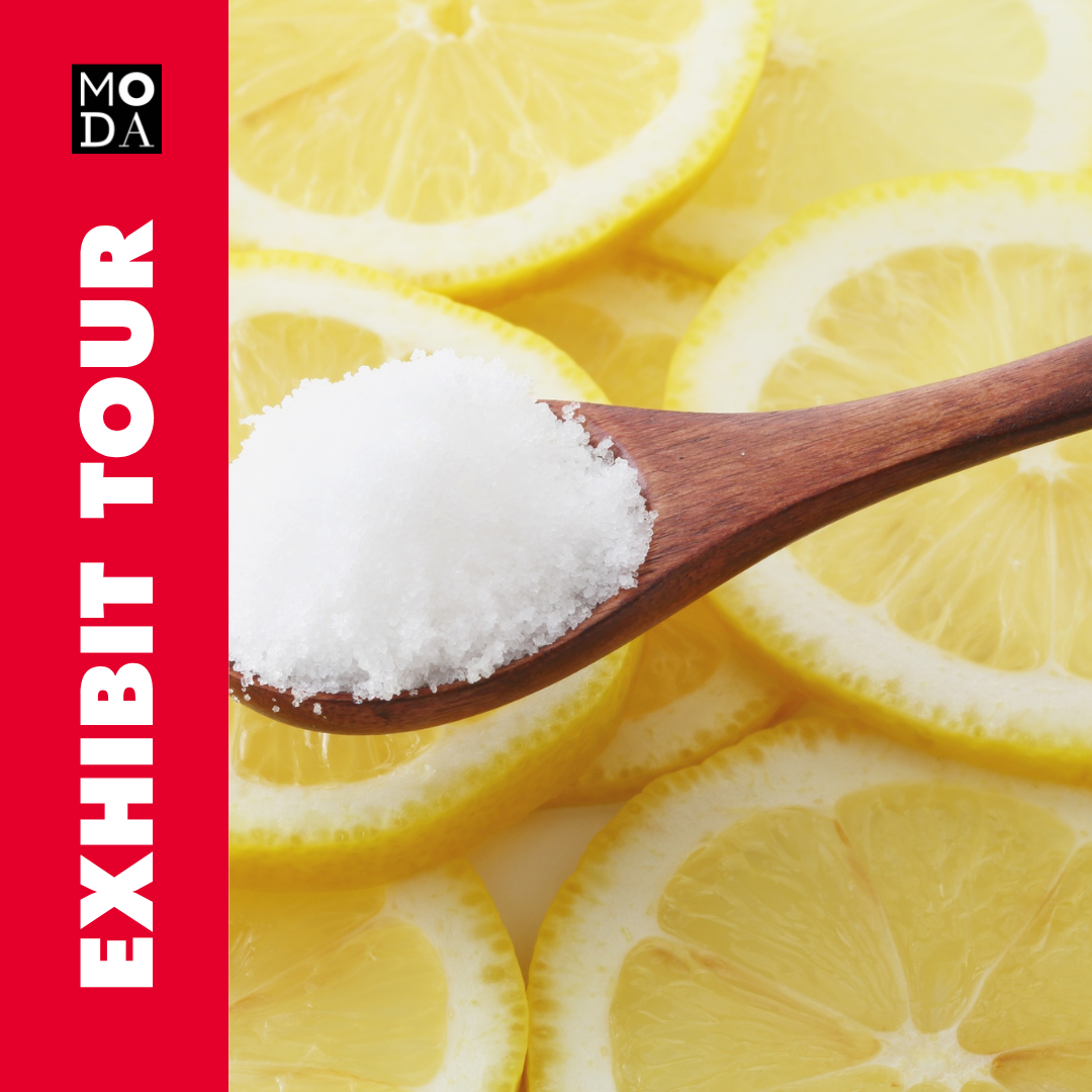 Exhibit Tour of SALT: A Design Story