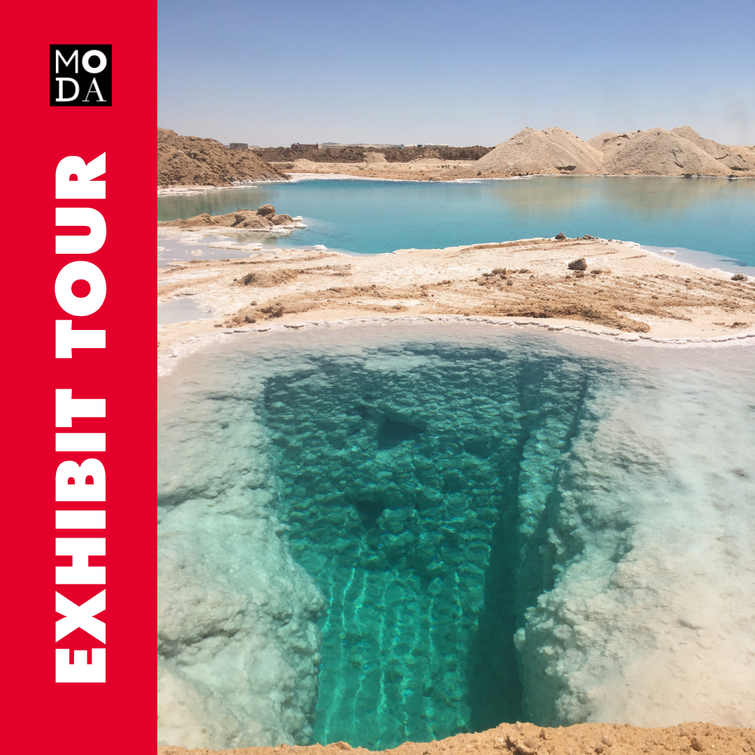 Exhibit Tour of SALT: A Design Story