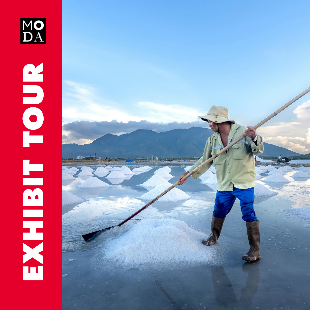Exhibit Tour of SALT: A Design Story
