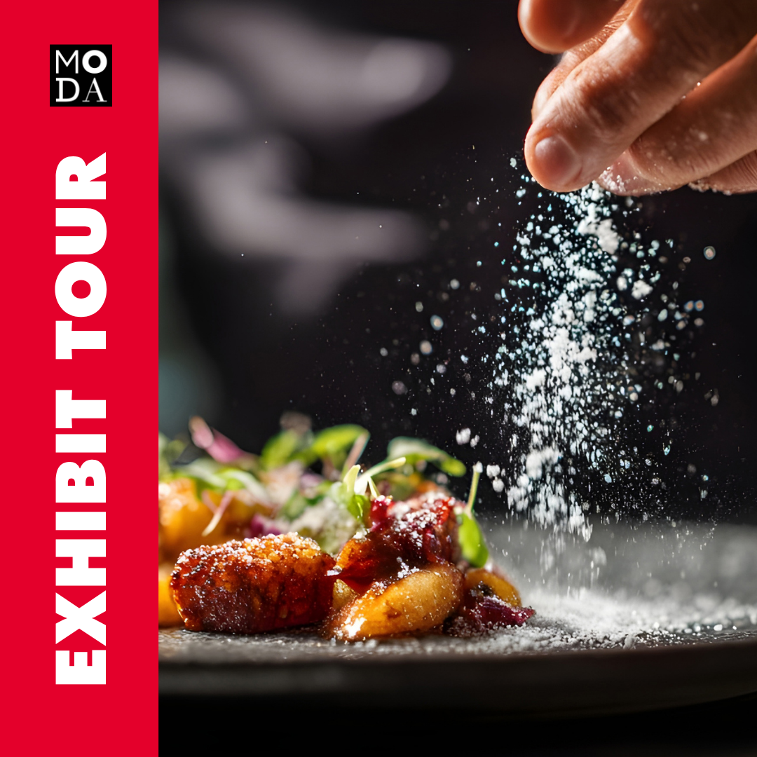 Exhibit Tour of SALT: A Design Story