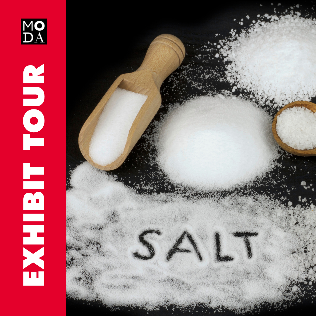 Exhibit Tour of SALT: A Design Story