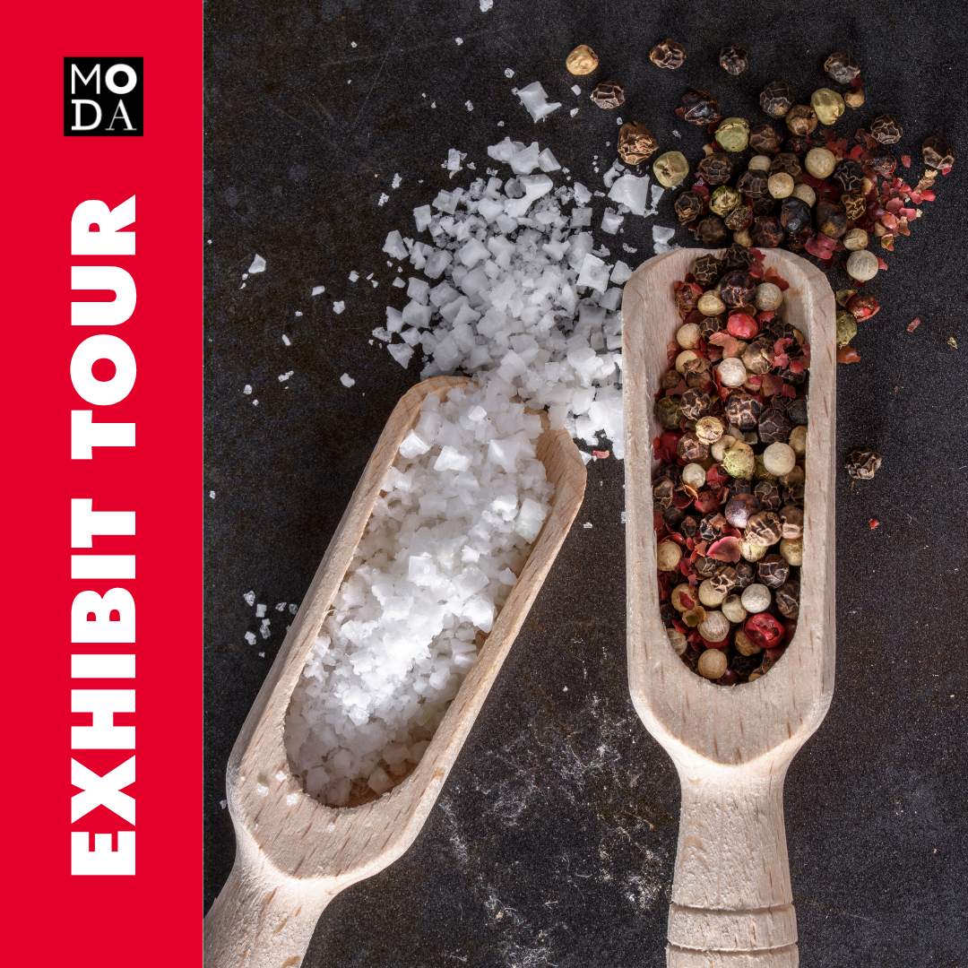 Exhibit Tour of SALT: A Design Story