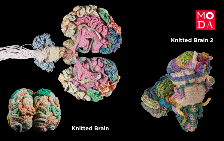 Brain Wool Design Conversation with Karen Norberg, Creator of the Knitted Brain — MODA