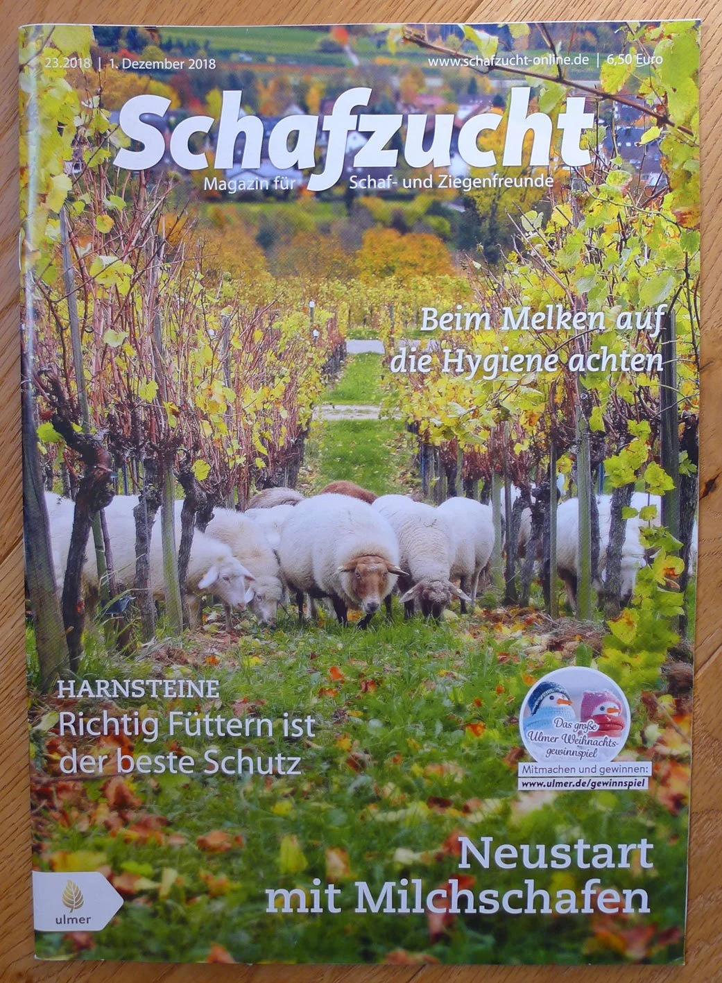 Schafzucht1.jpg