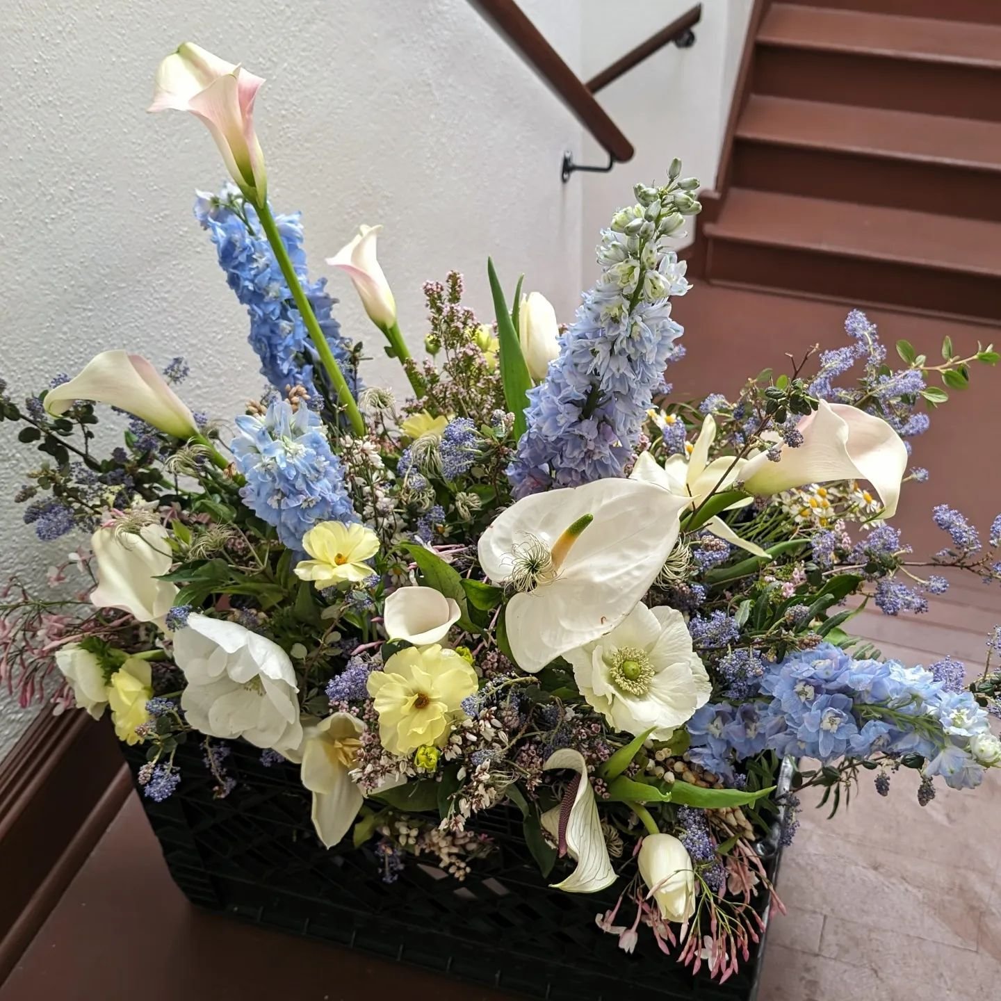 my love affair with delphiniums is still going strong. also featuring california lilac and jasmine vine, this baby is a favorite for sure