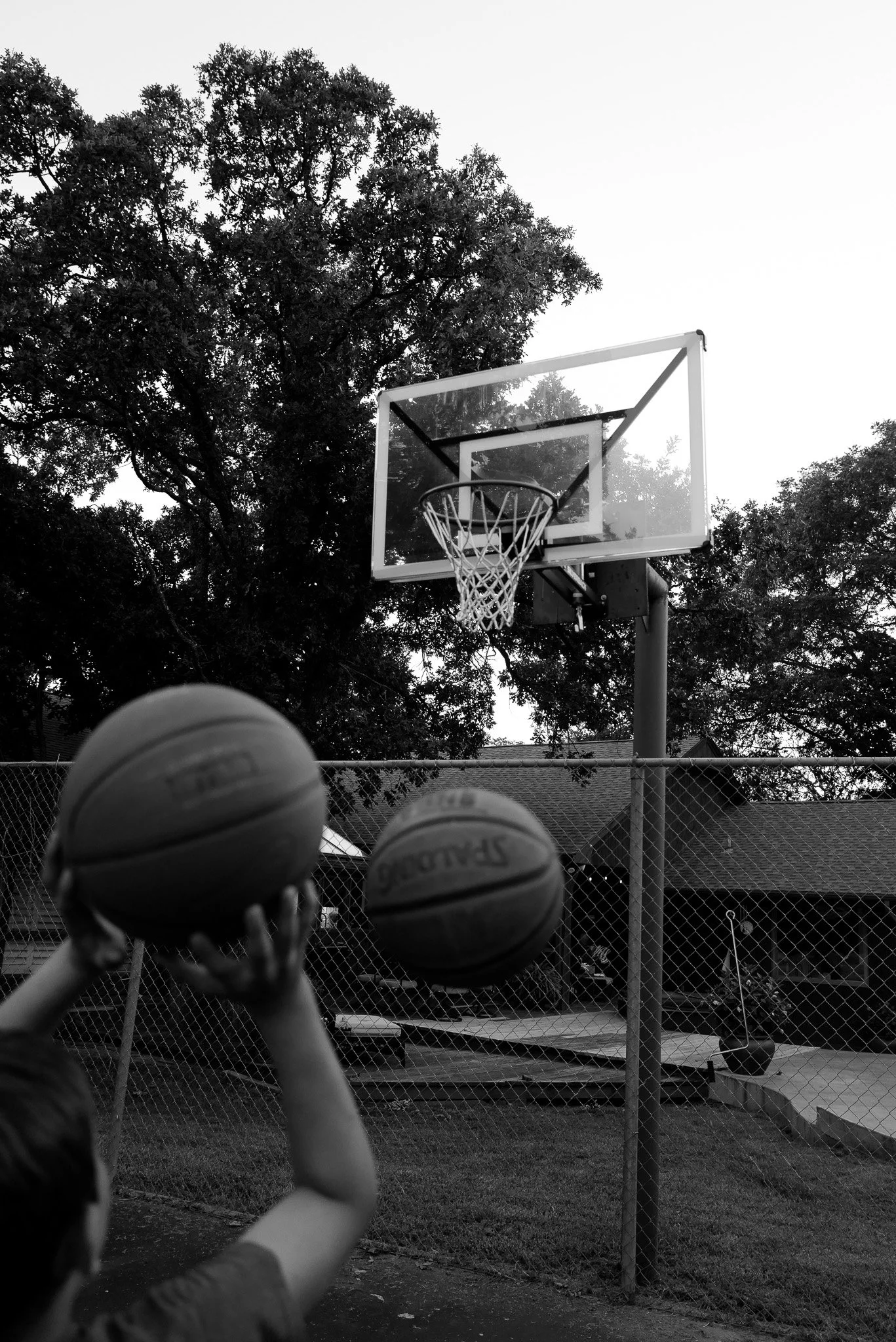 Black and White Basketball Photography
