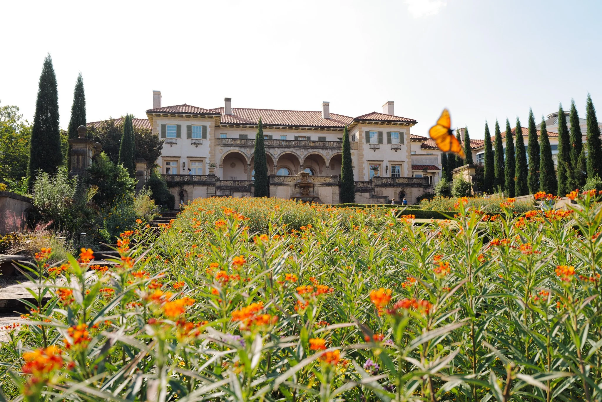 The Philbrook Museum Engagement Proposal Photoshoot