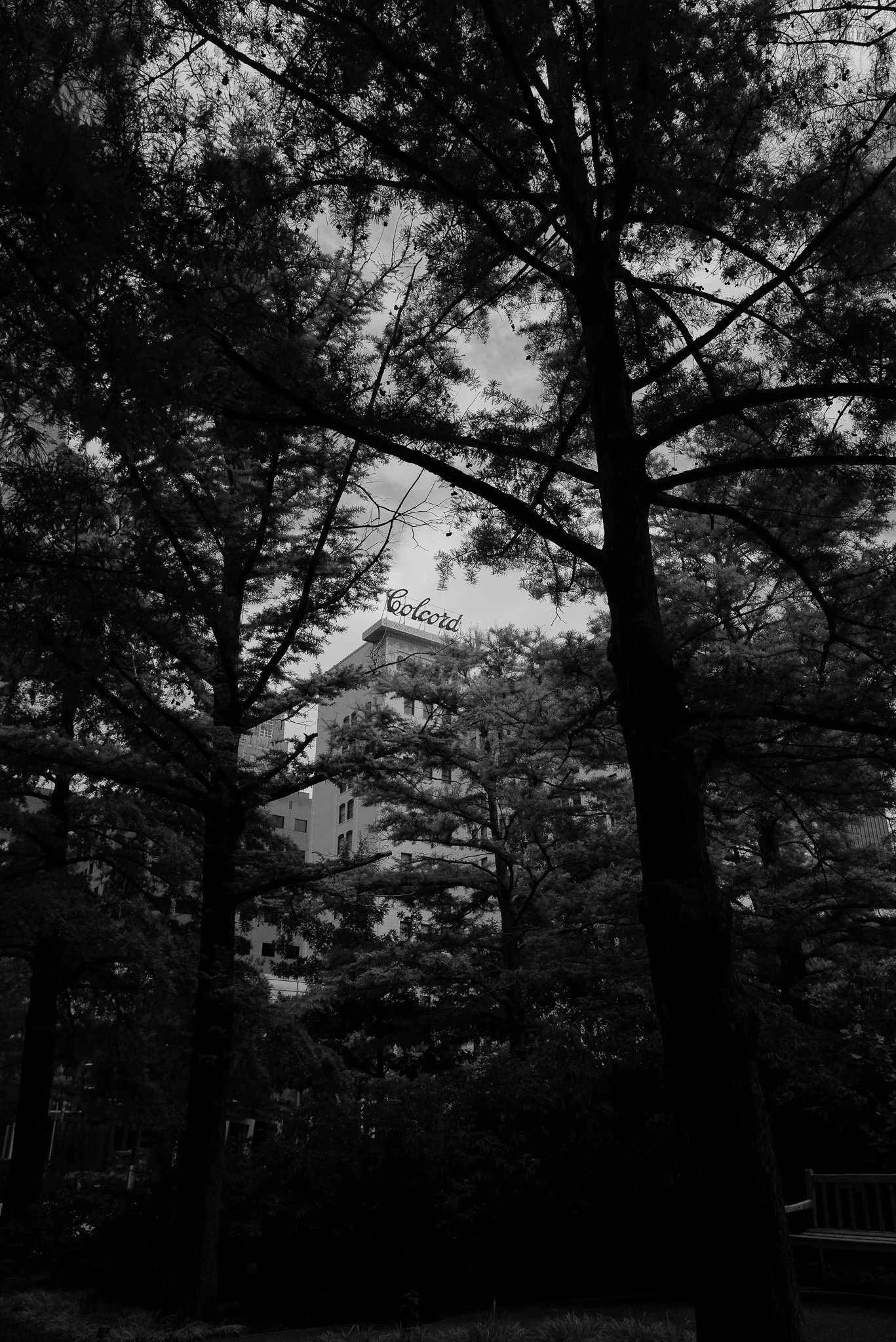 Black and White Photography Oklahoma