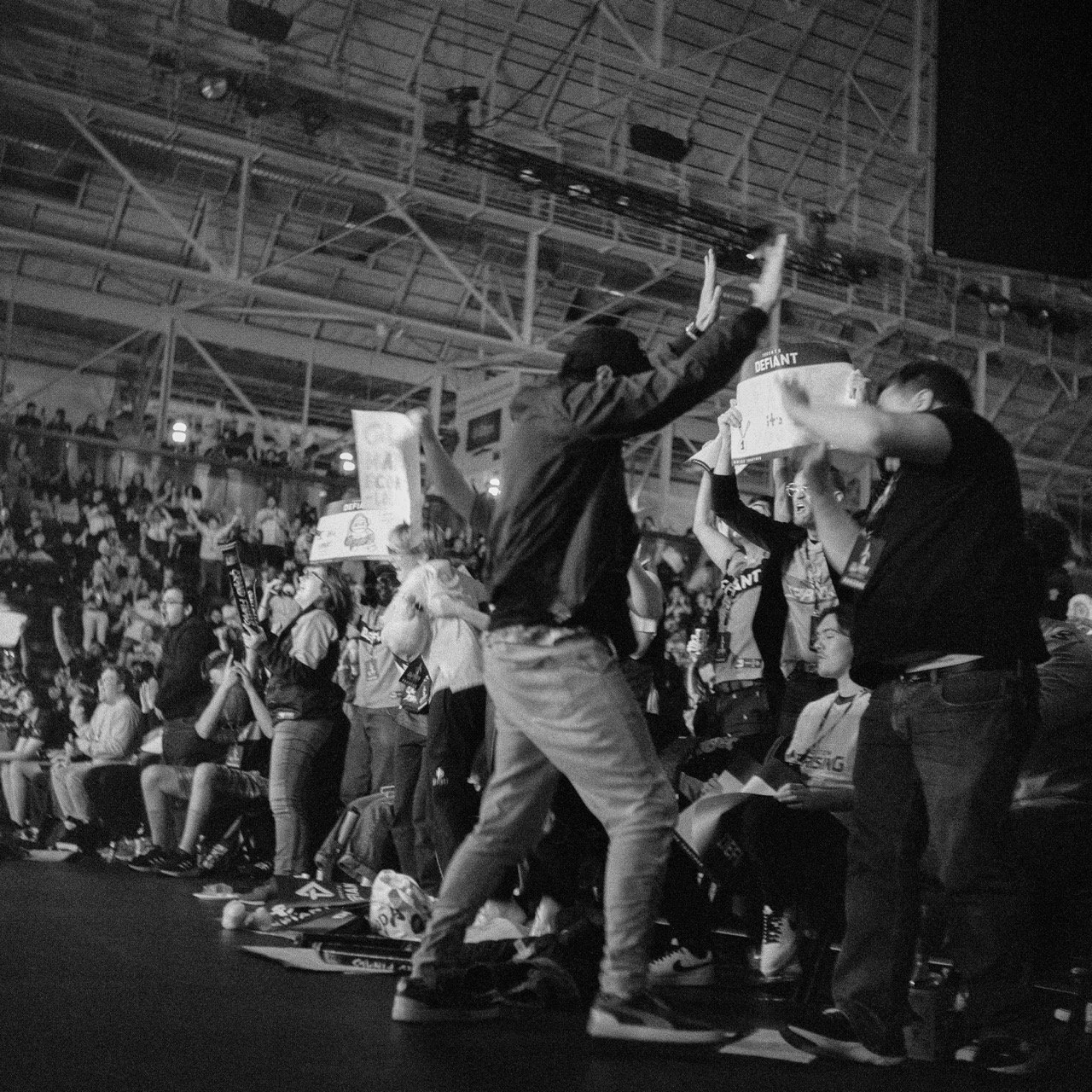 fans_4 copy Large.jpeg