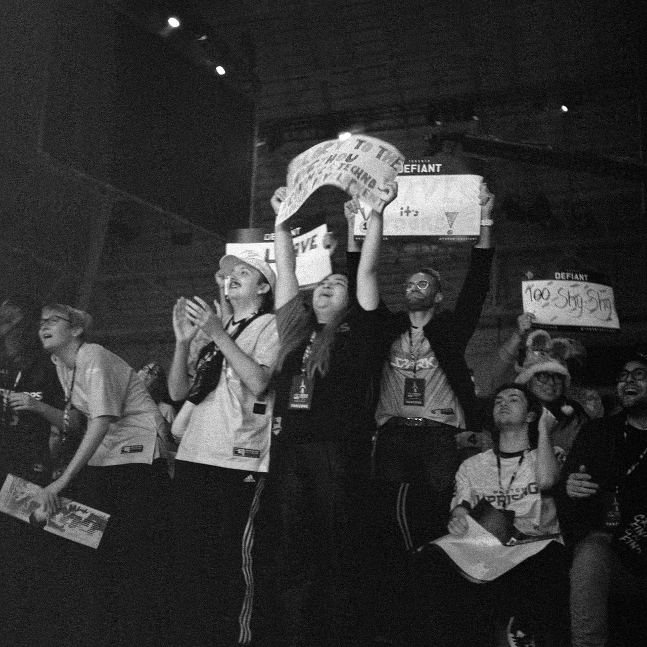 fans_3 copy Large.jpeg