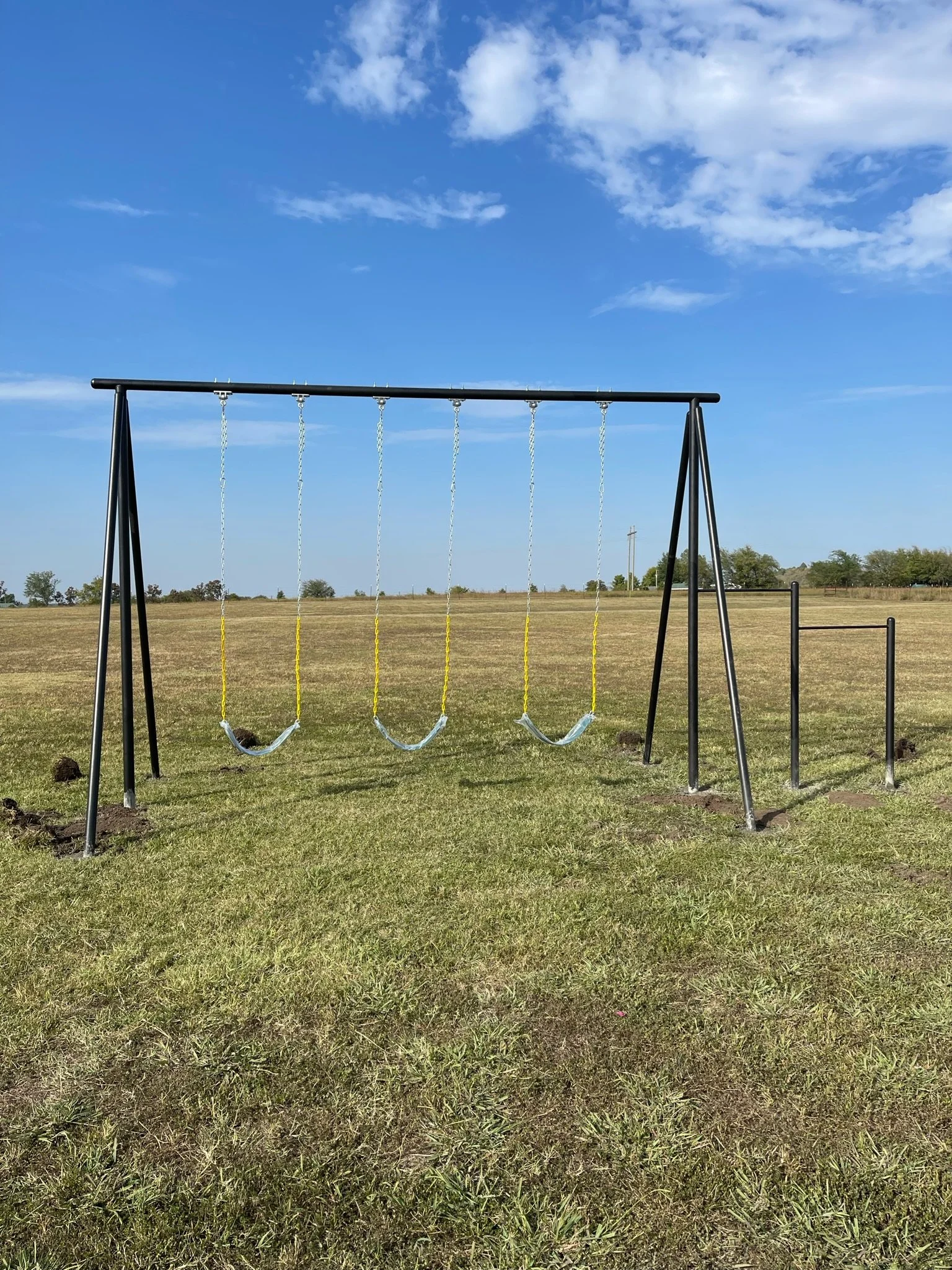 Real Steel Swing Sets