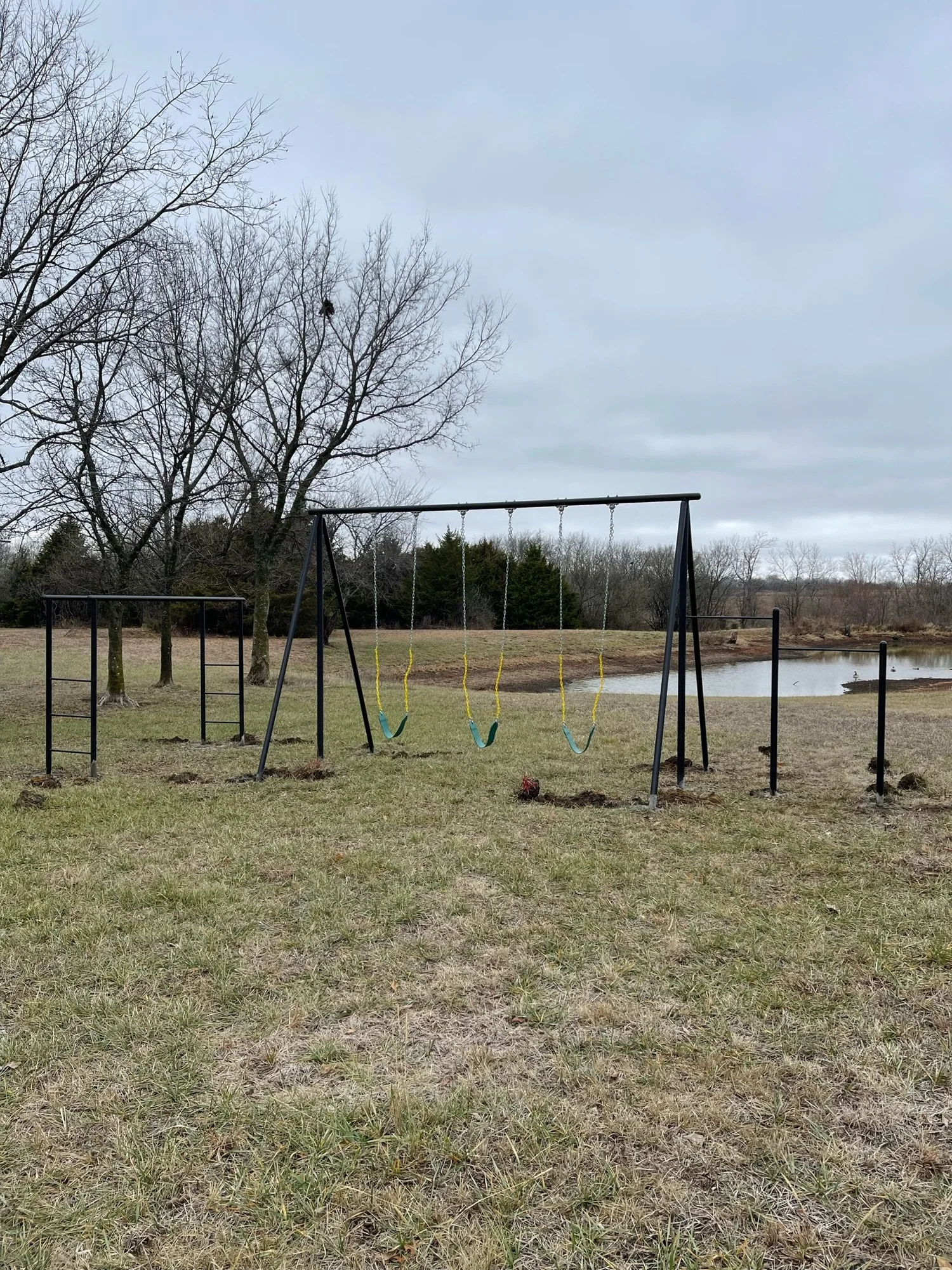 Real Steel Swing Sets