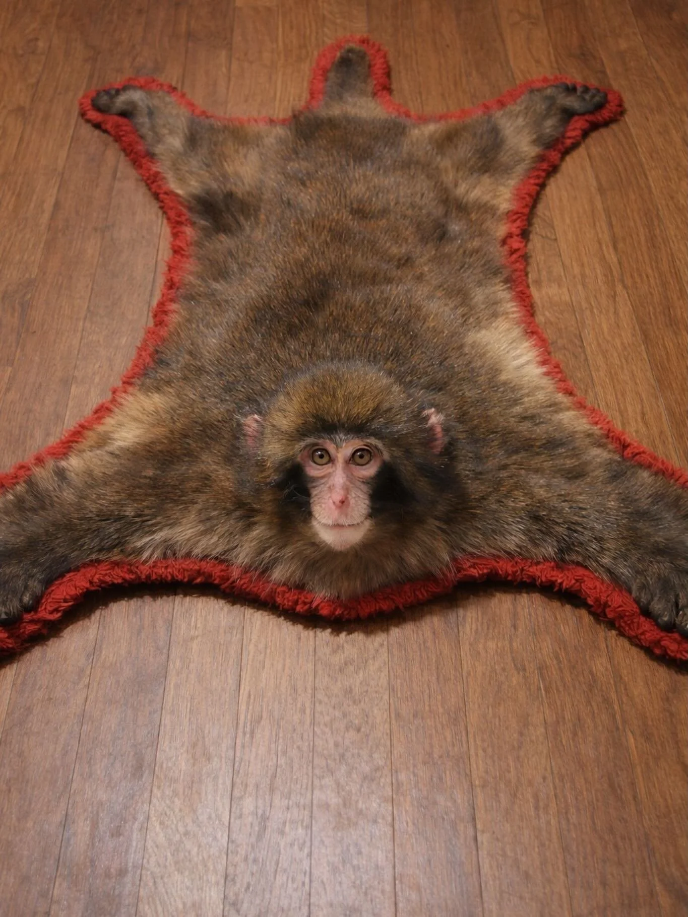 Week of February 23, 2026 