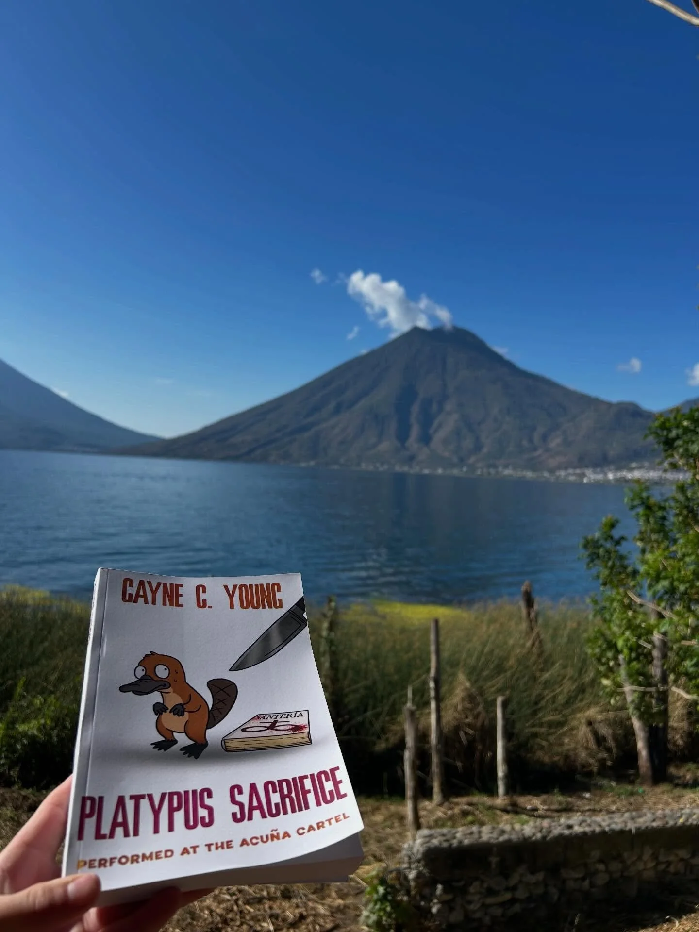 Week of April 6, 2026