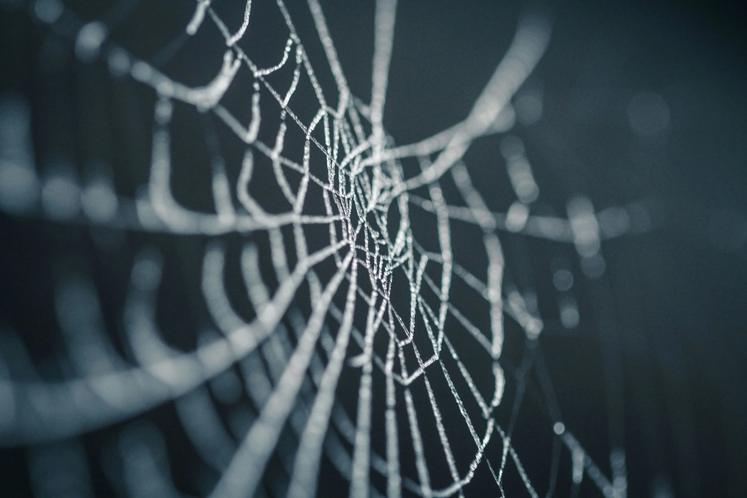 Close up of spiderweb with dew