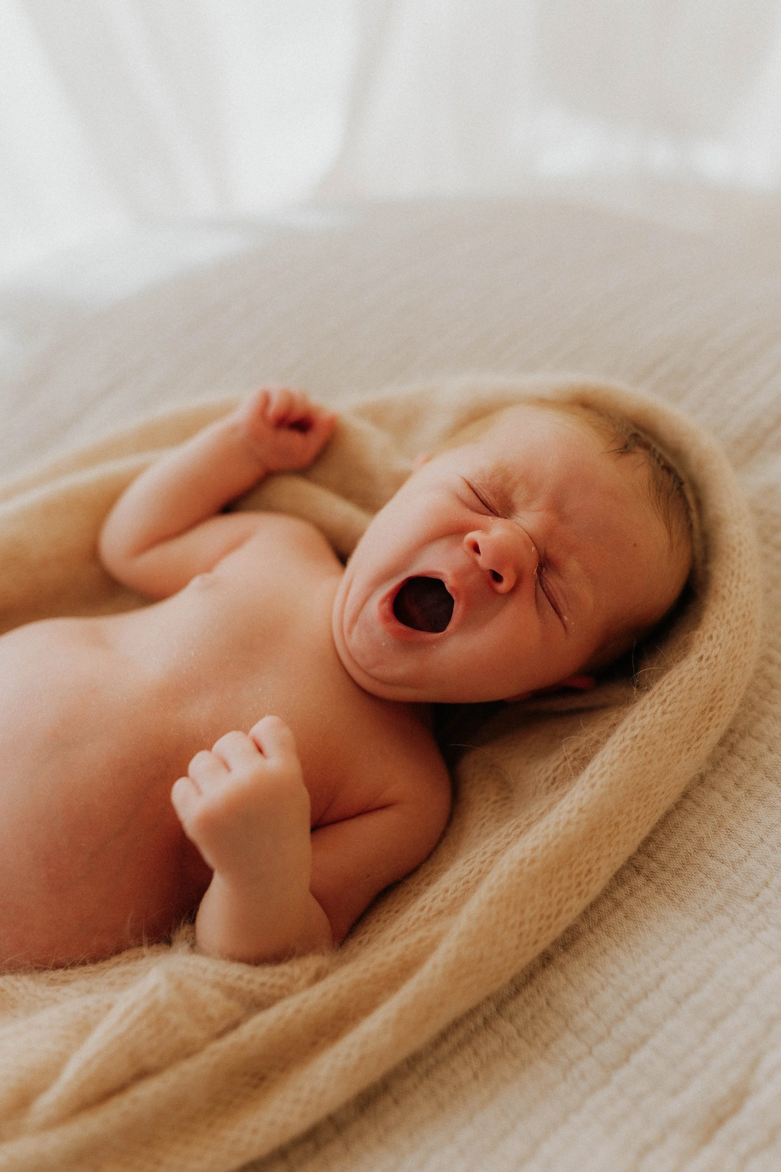 Didsbury Photography Studio // Copper + Olive Photo.