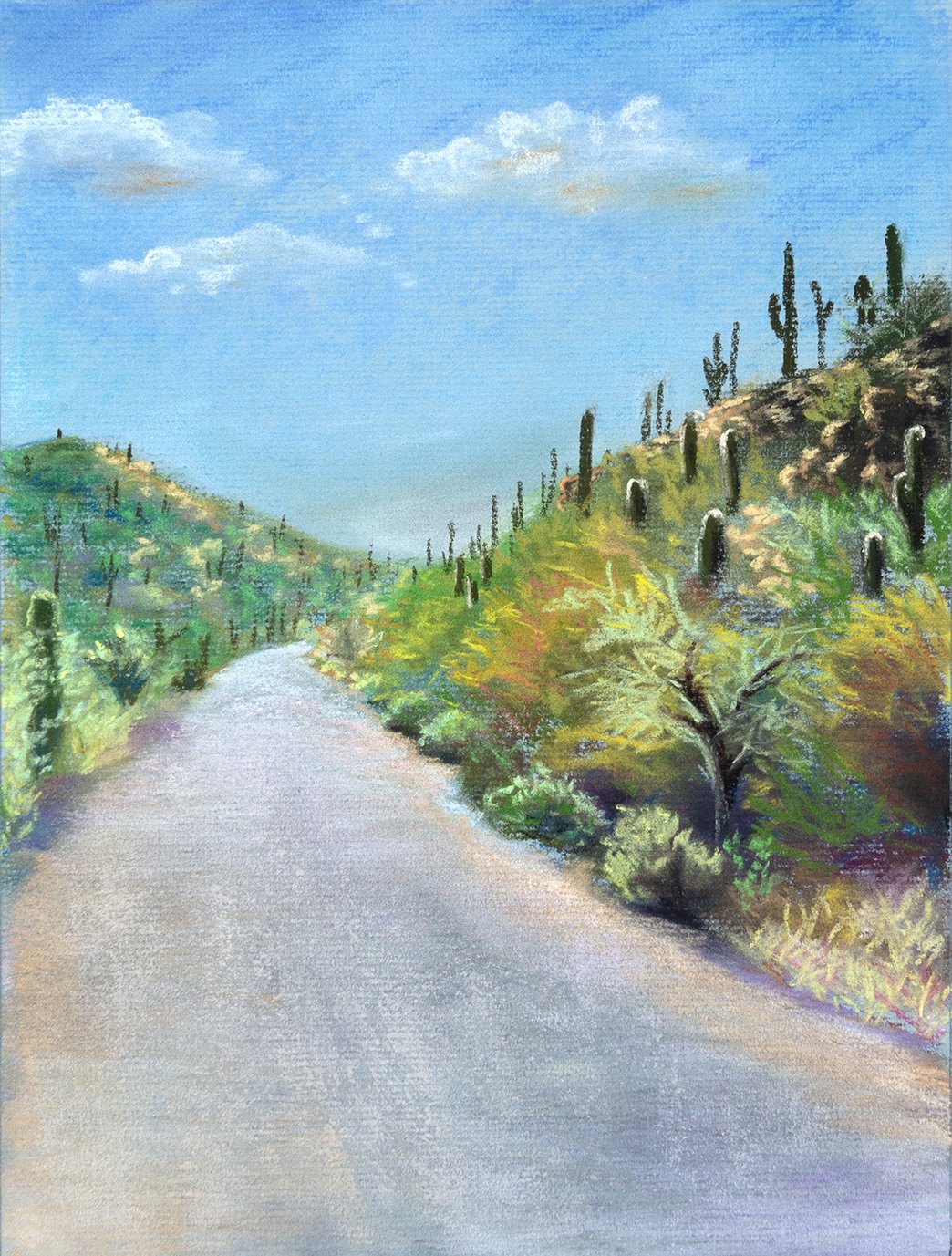 Sabino Canyon